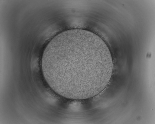 X0000094460162200711151458