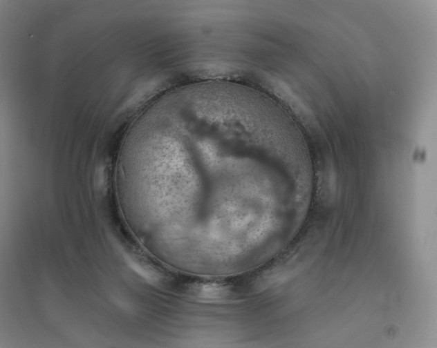 X0000094460165200711151458
