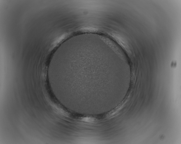 X0000094460168200711151458