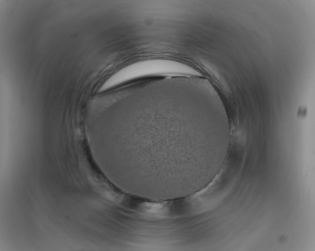 X0000094460170200711151458