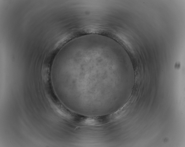 X0000094460171200711151458