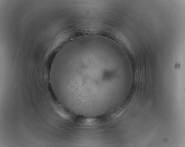 X0000094460173200711151458