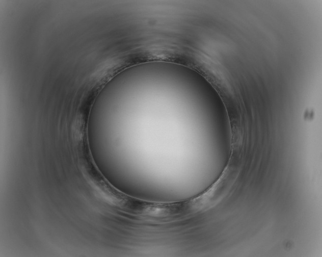 X0000094460174200711151458