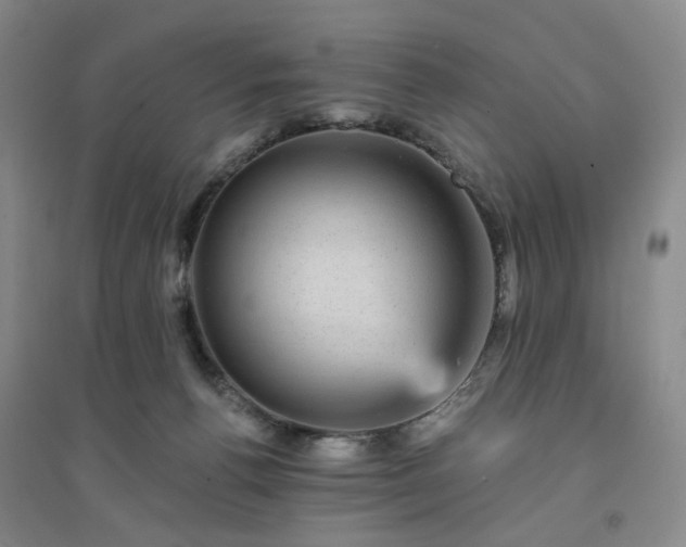 X0000094460176200711151458
