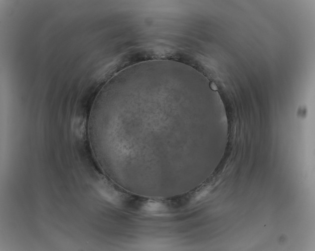 X0000094460177200711151458
