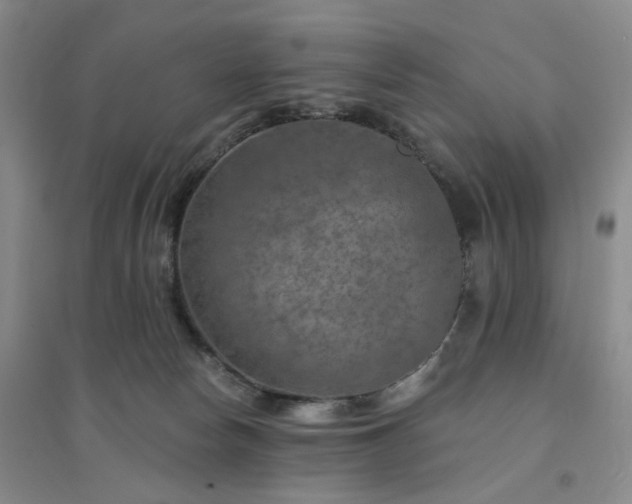 X0000094460178200711151458