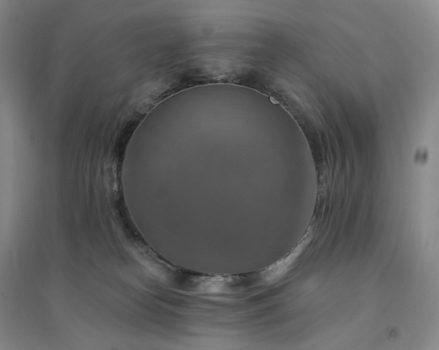 X0000094460182200711151458
