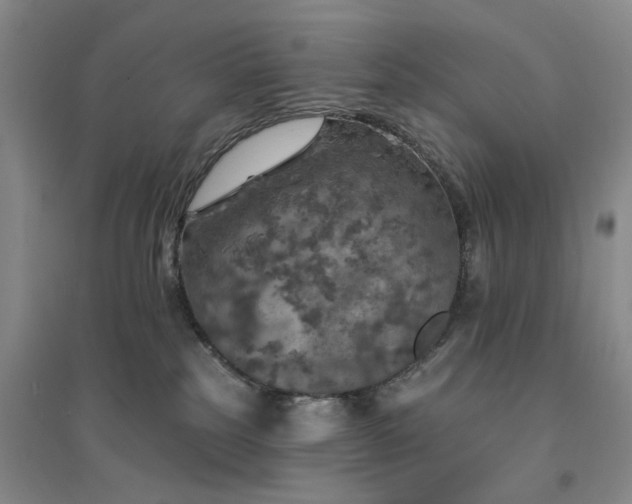 X0000094460185200711151458