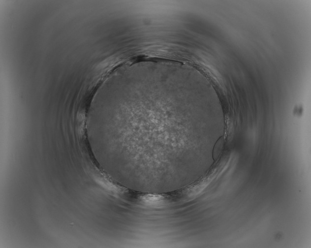 X0000094460189200711151458