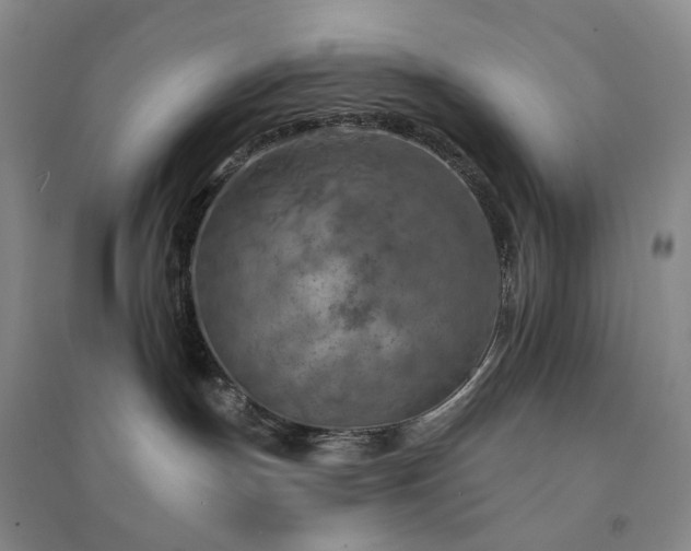 X0000094460191200711151458