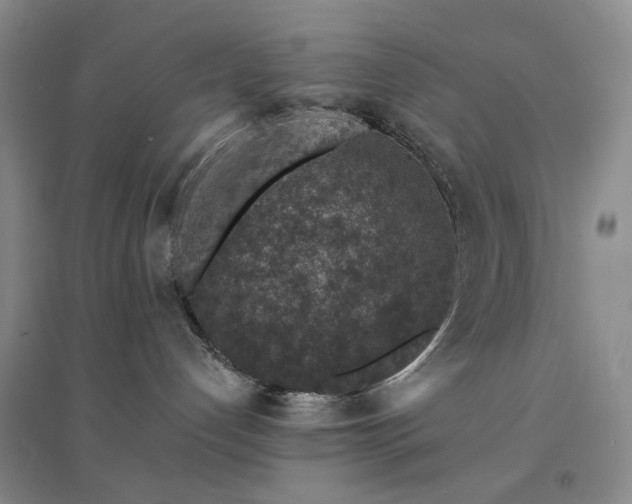 X0000094460192200711151458