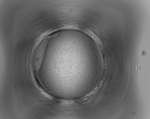 X0000094460193200711151457