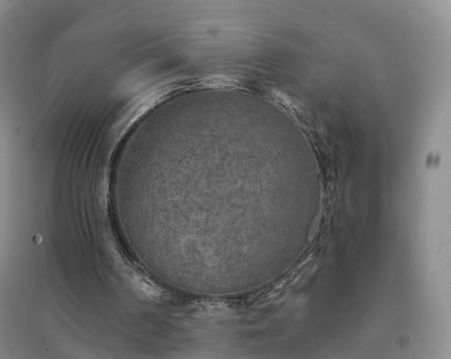X0000094460194200711151457