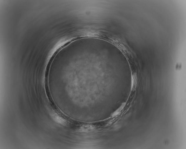 X0000094460195200711151457