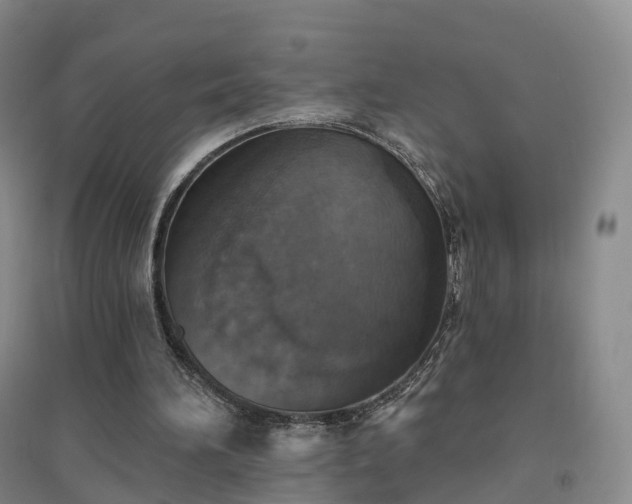 X0000094460196200711151457