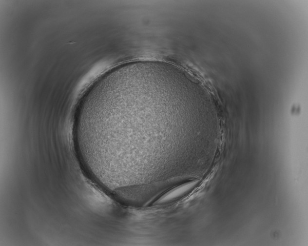 X0000094460197200711151457