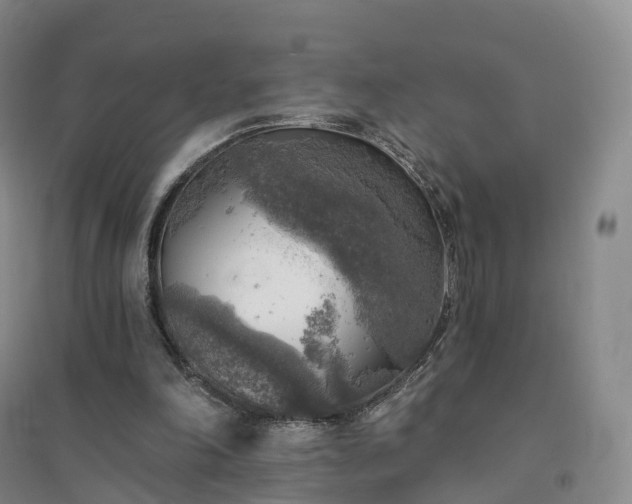 X0000094460198200711151457