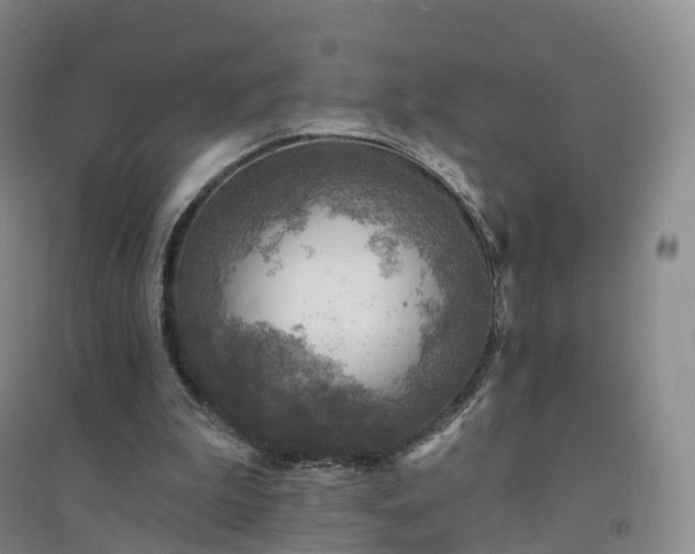 X0000094460199200711151457