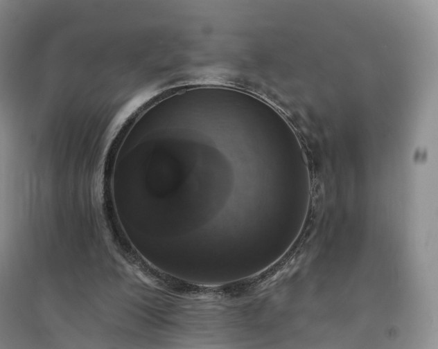 X0000094460200200711151457