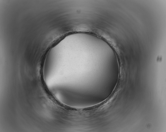 X0000094460201200711151457