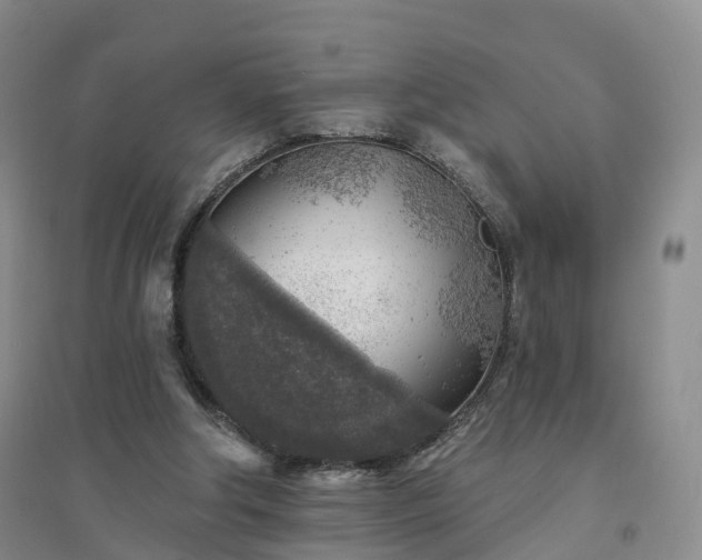 X0000094460202200711151457