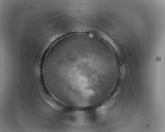 X0000094460203200711151457