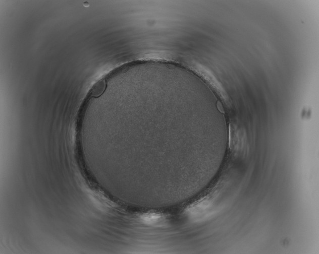 X0000094460204200711151457