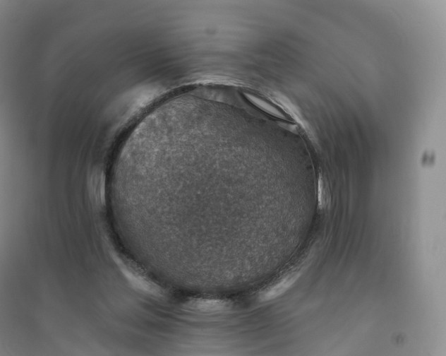 X0000094460205200711151457