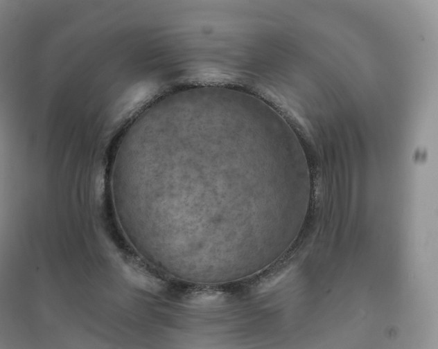 X0000094460206200711151457