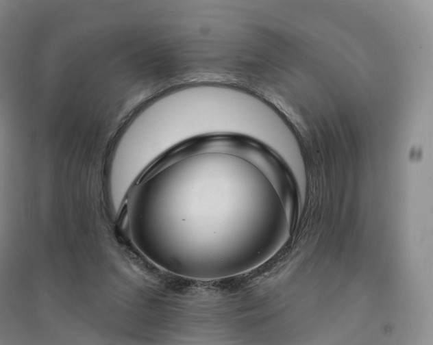 X0000094460207200711151457