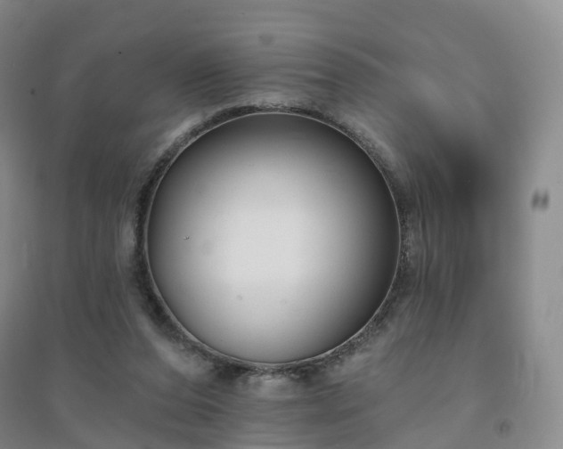 X0000094460208200711151457