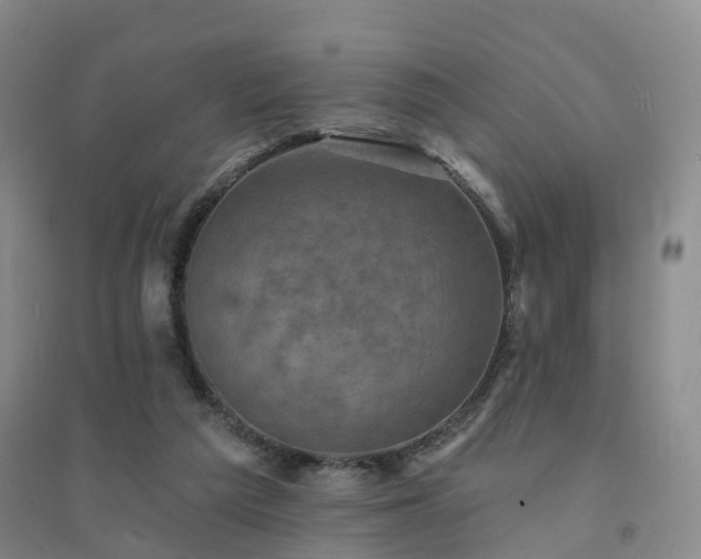 X0000094460209200711151457