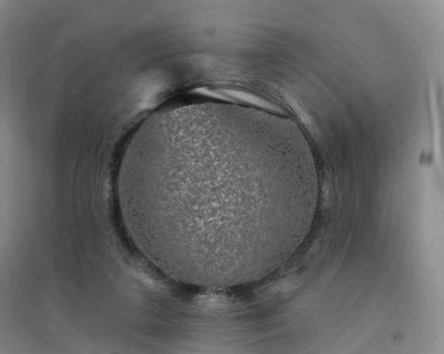X0000094460211200711151457