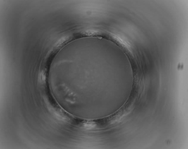 X0000094460214200711151457