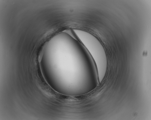X0000094460215200711151457