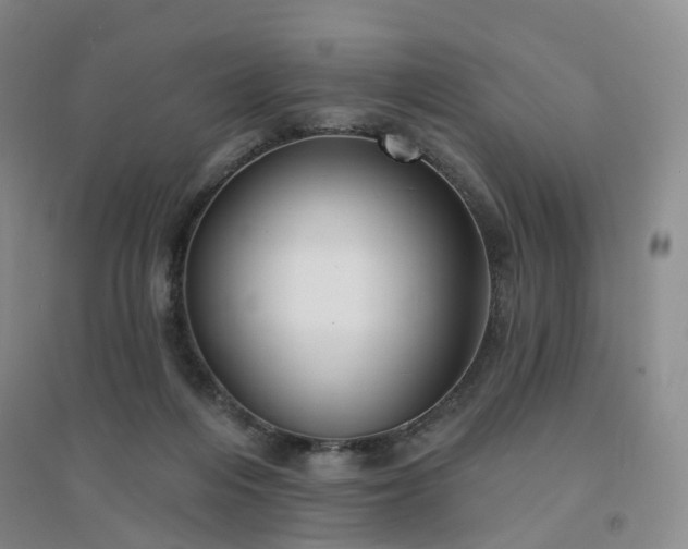 X0000094460216200711151457