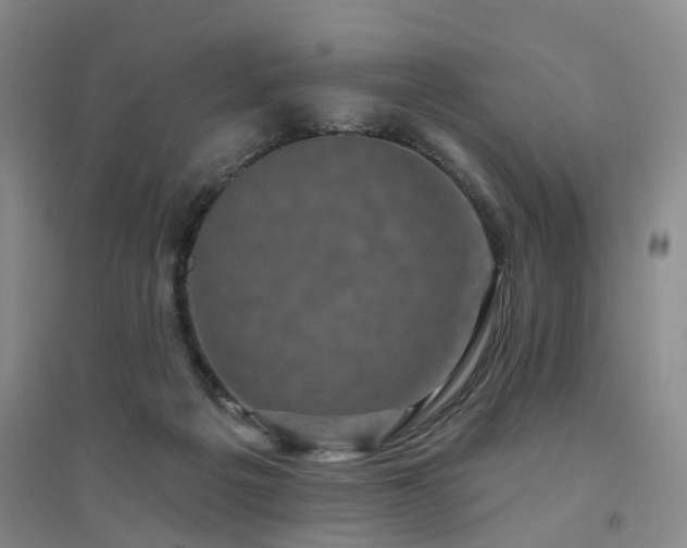 X0000094460217200711151457
