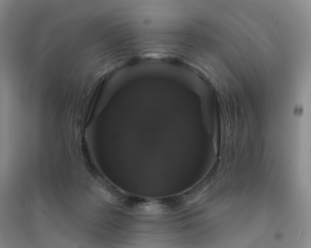 X0000094460219200711151457
