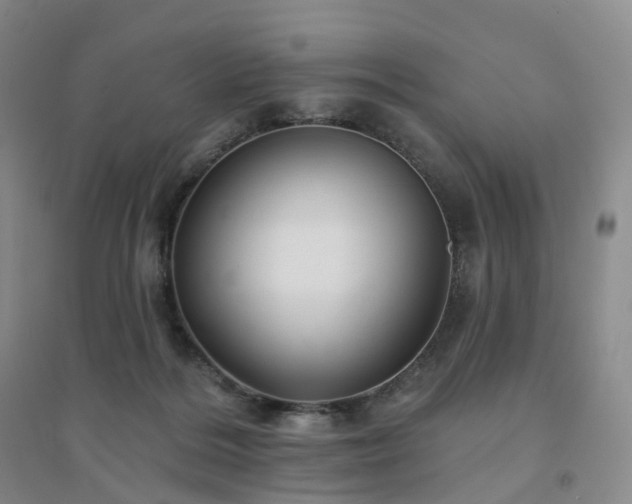 X0000094460220200711151457