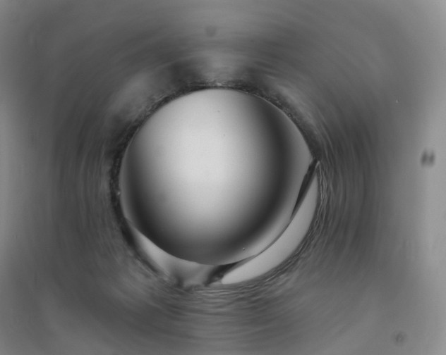 X0000094460221200711151457