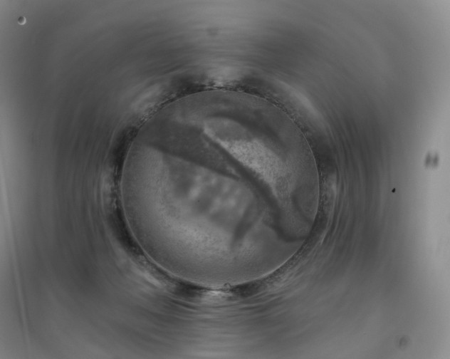 X0000094460222200711151457