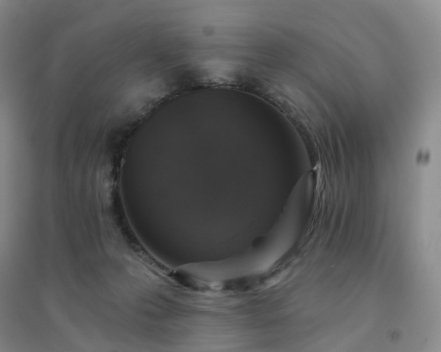 X0000094460223200711151457