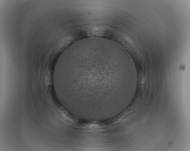 X0000094460224200711151457