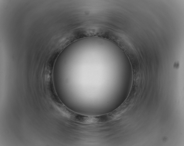 X0000094460226200711151457