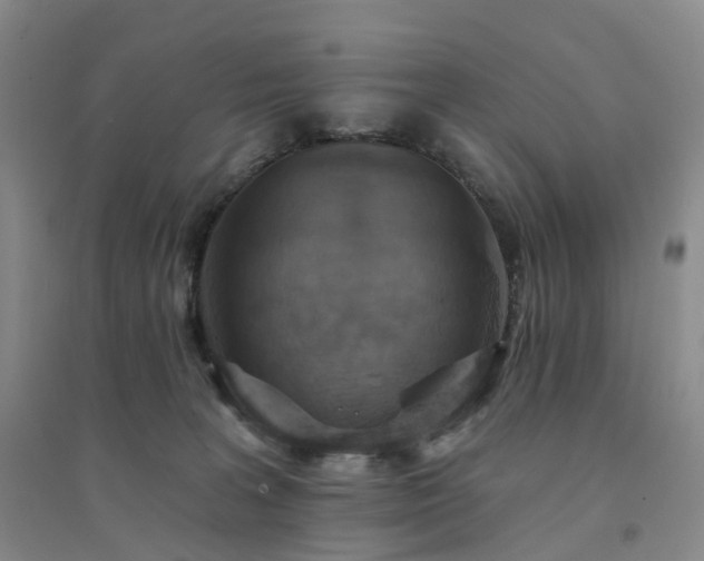 X0000094460227200711151457