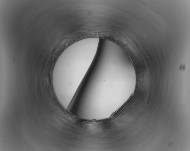 X0000094460229200711151457