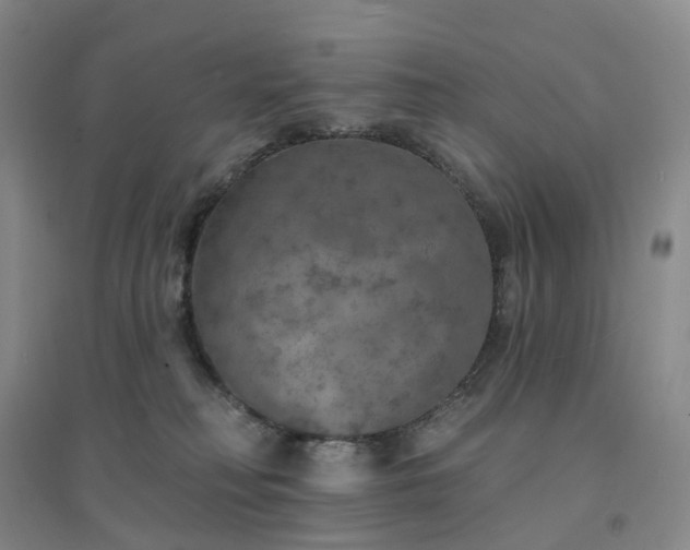 X0000094460230200711151457