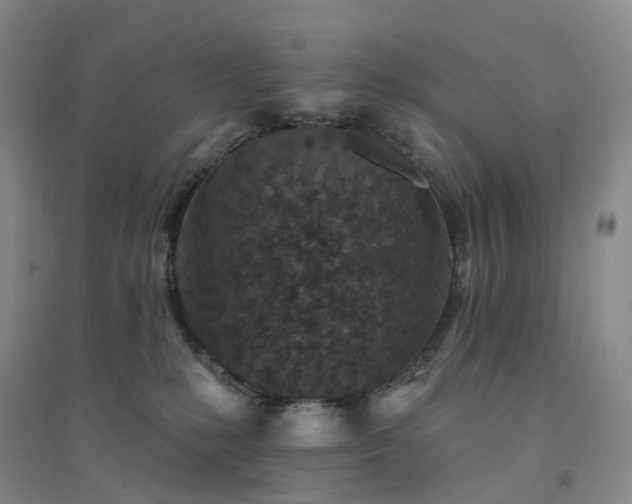 X0000094460231200711151457