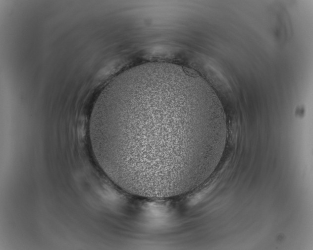 X0000094460232200711151457