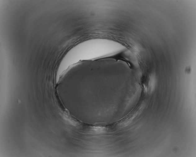 X0000094460233200711151457